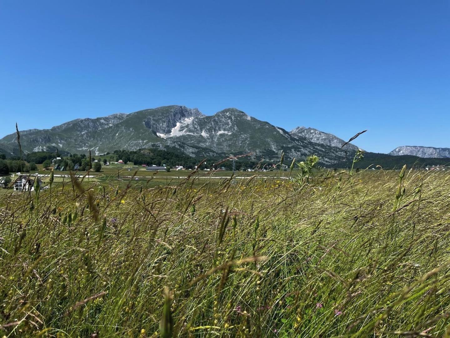 Mountain Peaceful Cottages Zabljak  Bagian luar foto