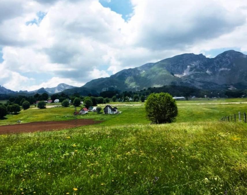 Mountain Peaceful Cottages Zabljak  Bagian luar foto